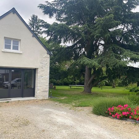 Chambre D'Hote - Verdure En Ville Les Ponts-de-Cé Zewnętrze zdjęcie